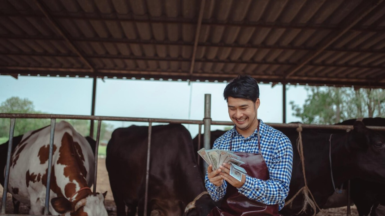 Chính sách và môi trường đầu tư tại châu Á