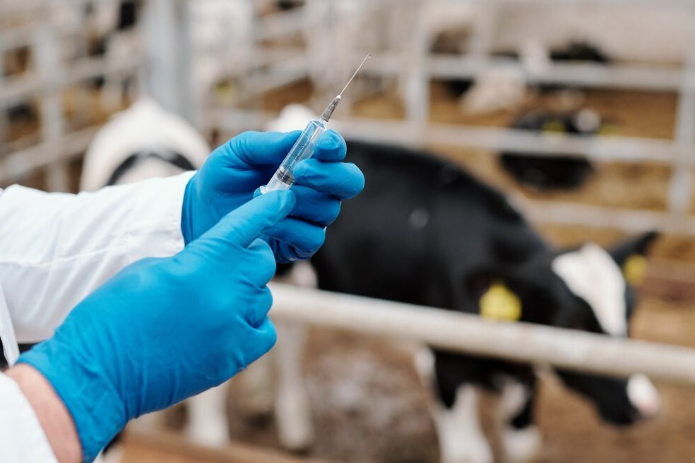 Đột phá trong công nghệ sản xuất vaccine