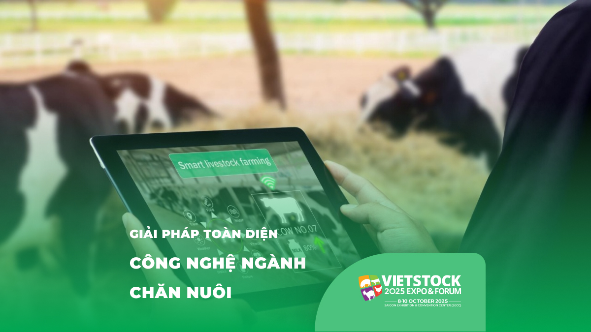 Giải Pháp Toàn Diện Cho Ngành Chăn Nuôi Việt Nam