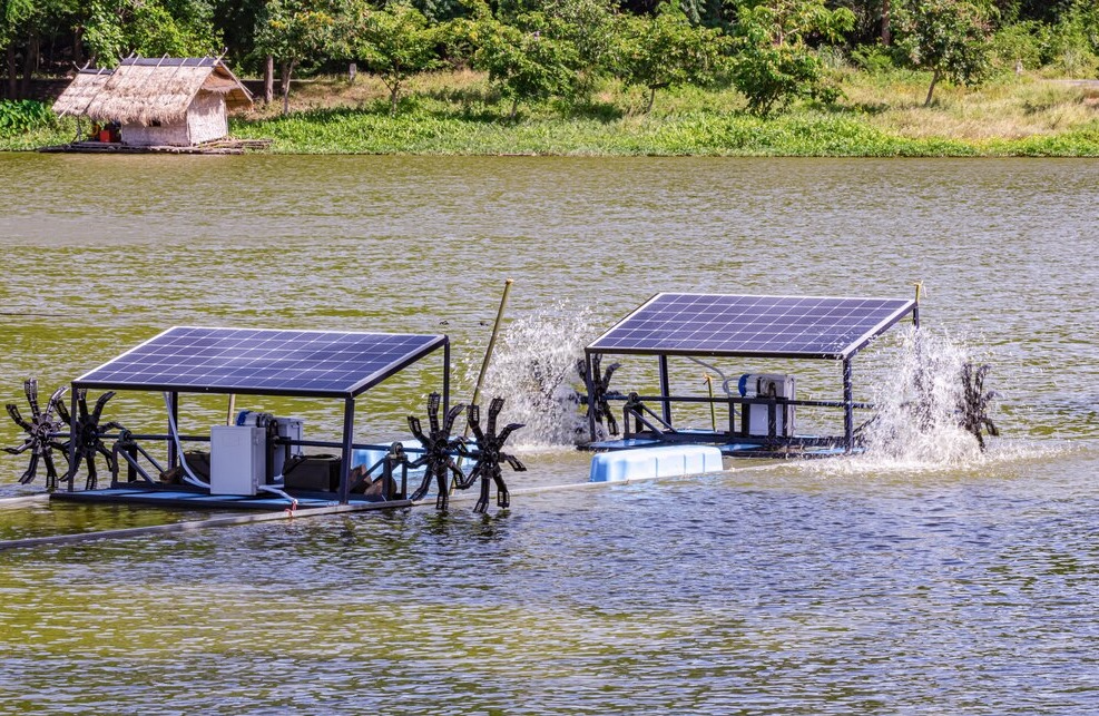 Hệ Thống Bơm Nước và Tưới Tiêu Năng Lượng Mặt Trời
