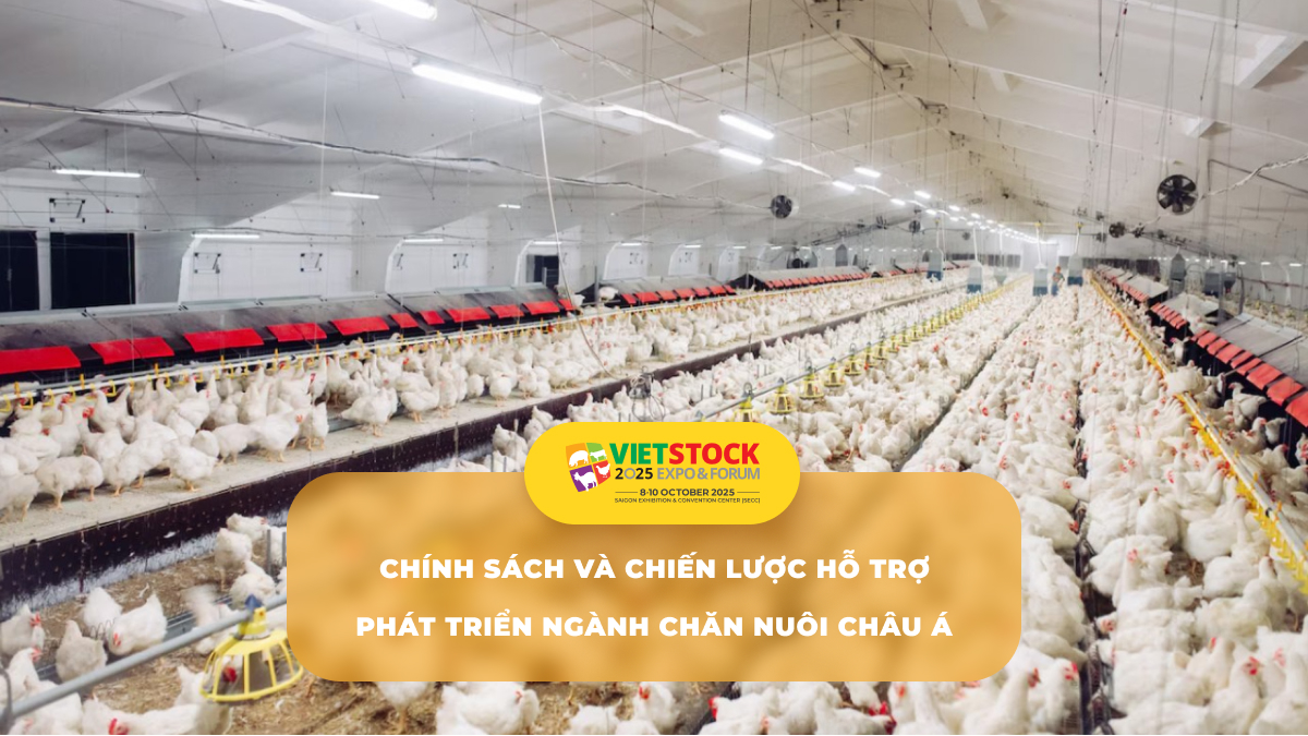 Hỗ Trợ Phát Triển Bền Vững Ngành Chăn Nuôi Châu Á
