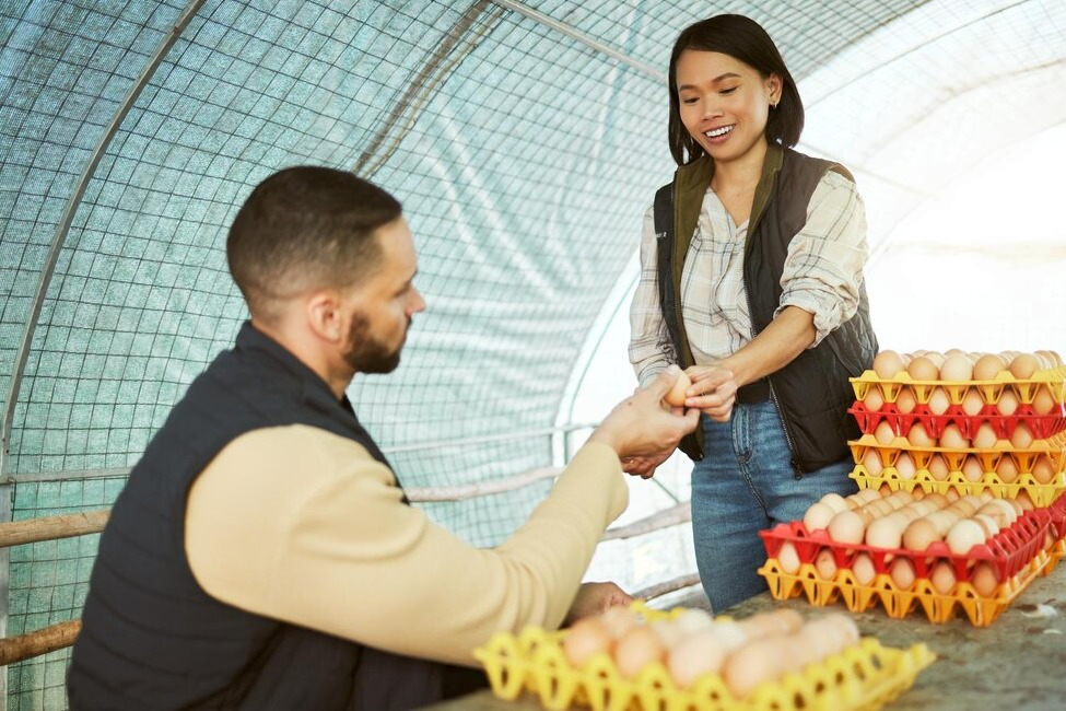 Hợp Tác Quốc Tế và Khu Vực trong Phát Triển Chăn Nuôi