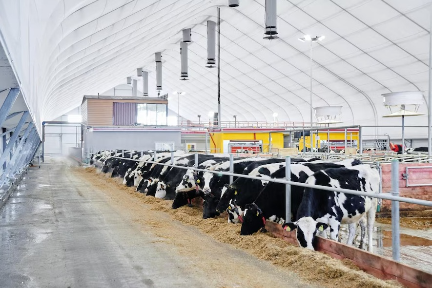 Mô hình 4F (Feed - Farm - Food - Fertilizer)
