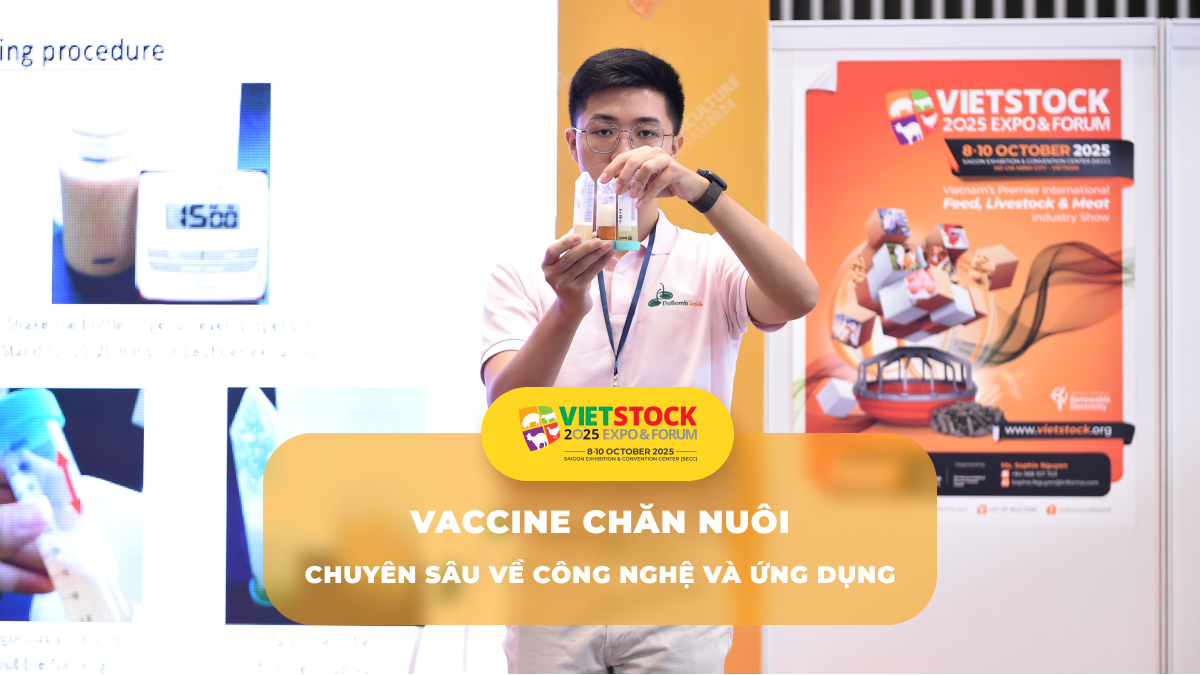 Phân Tích Chuyên Sâu về Công Nghệ và Ứng Dụng