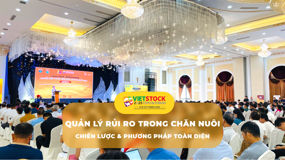 Quản lý rủi ro trong chăn nuôi