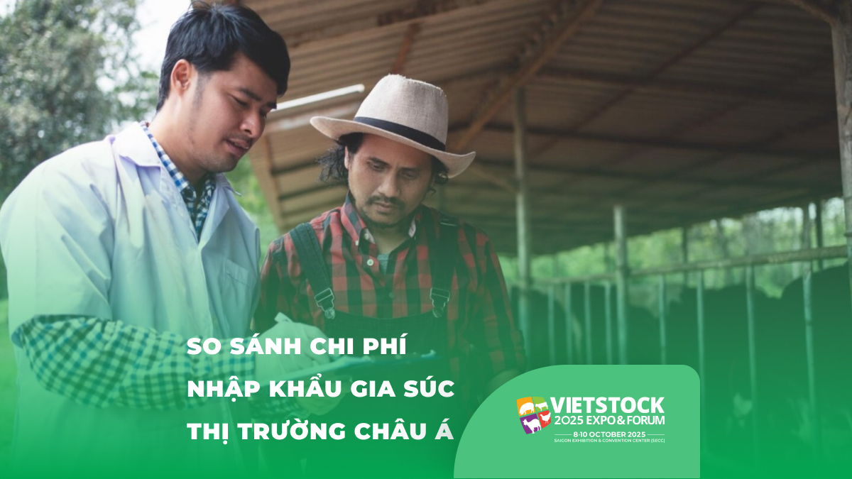 So Sánh Chi Phí Nhập Khẩu Gia Súc Giữa Các Nước Châu Á