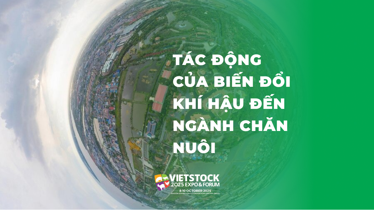 Tác Động của Biến Đổi Khí Hậu đến Ngành Chăn Nuôi và Giải Pháp Thích Ứng Hiệu Quả