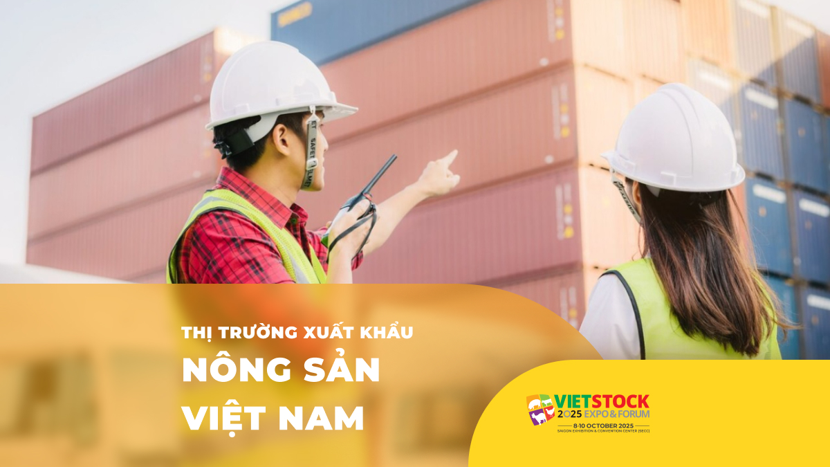 Thị Trường Xuất Khẩu Nông Sản Việt Nam: Tiềm Năng, Thách Thức và Triển Vọng 2025