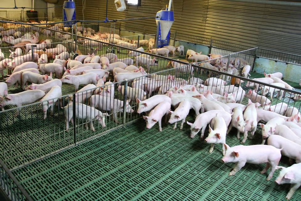Thiết kế và Quản lý Cơ sở Hạ tầng An toàn
