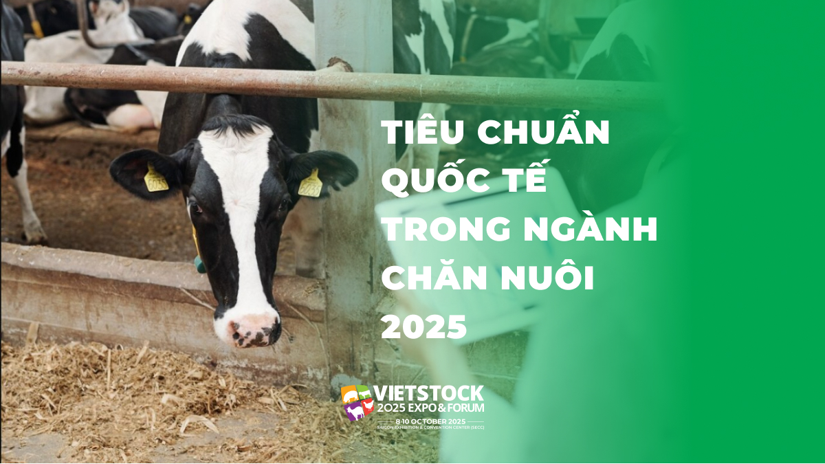 Tiêu chuẩn quốc tế trong ngành chăn nuôi