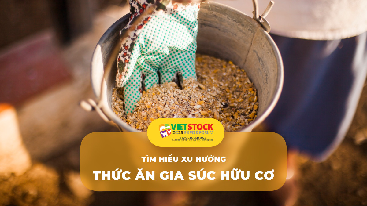 Tìm hiểu về xu hướng thức ăn gia súc hữu cơ