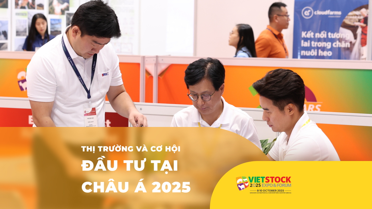 Tổng quan thị trường và cơ hội đầu tư tại châu Á 2025