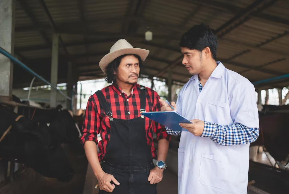 Trình Tự Xử Lý Khi Bị Thanh Tra, Kiểm Tra Chăn Nuôi