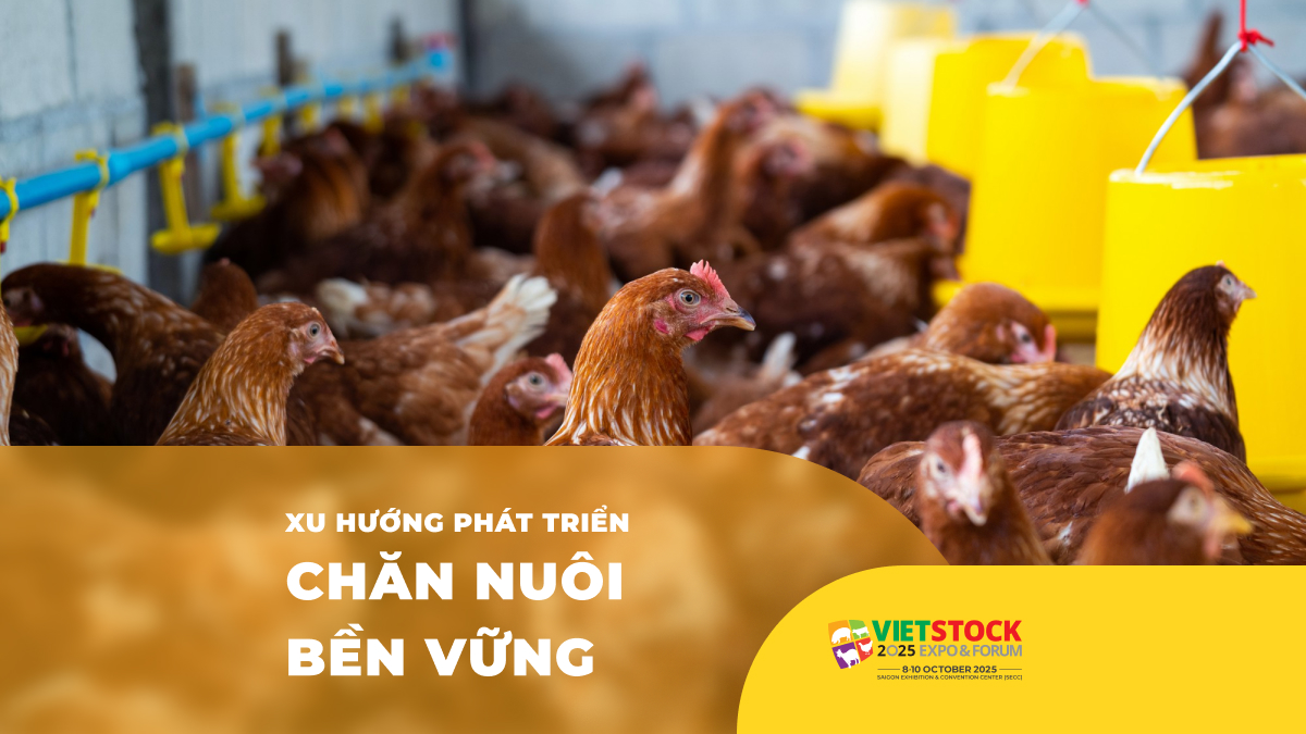 Xu hướng phát triển ngành chăn nuôi 2025
