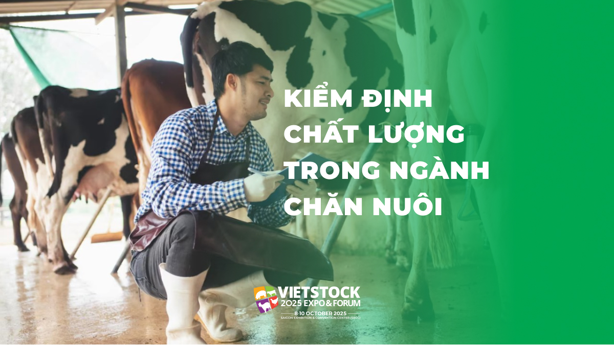 Tổng quan về kiểm định chất lượng trong ngành chăn nuôi