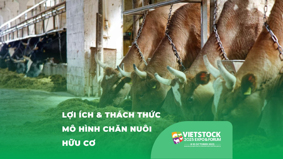 Lợi ích, giải pháp mô hình chăn nuôi hữu cơ
