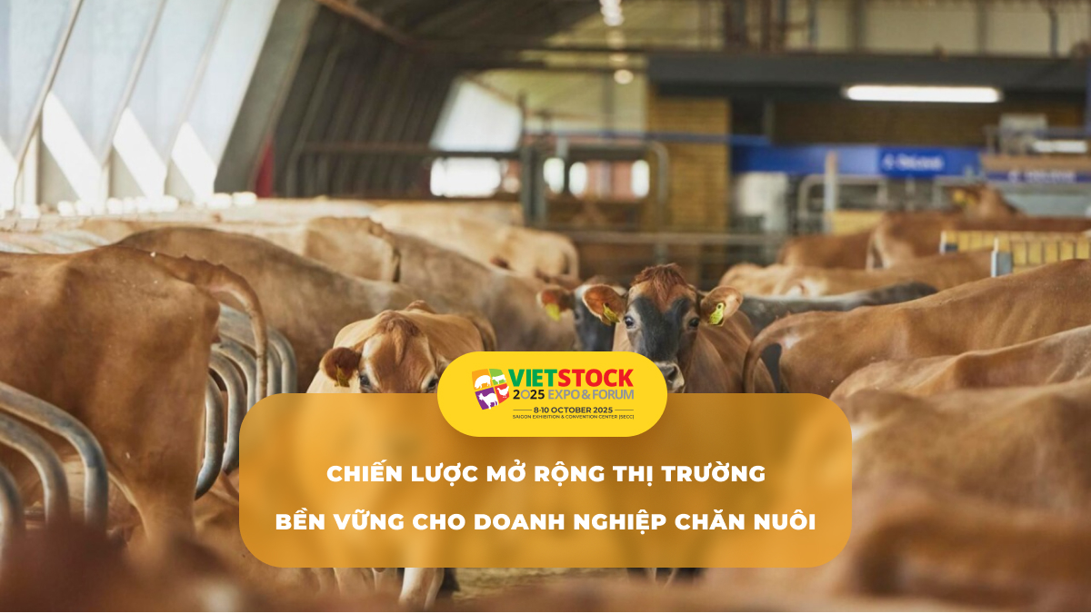 Phát triển bền vững cho doanh nghiệp chăn nuôi