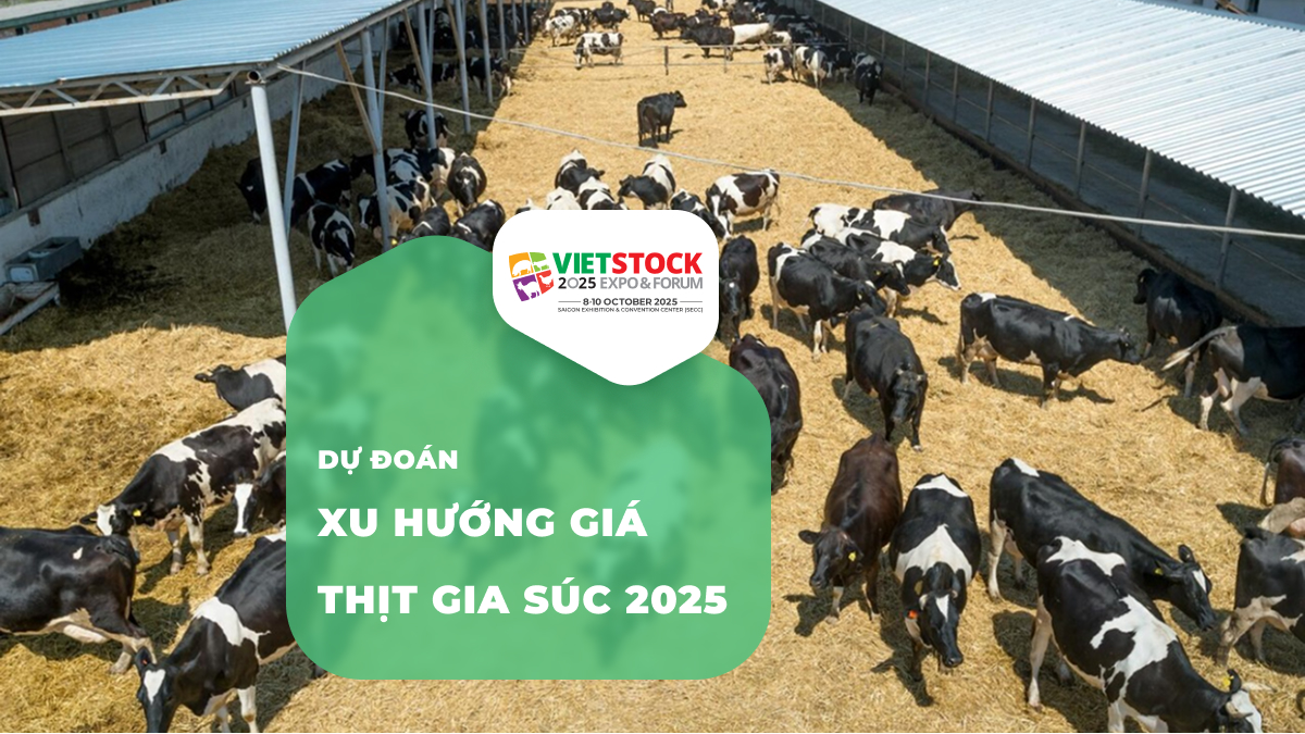 Xu hướng giá thịt gia súc 2025