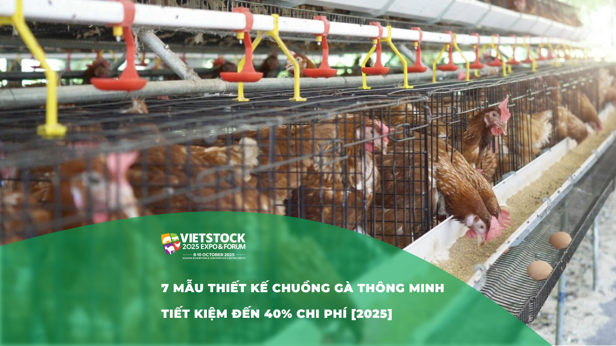 7 mẫu thiết kế chuồng gà thông minh tiết kiệm chi phí