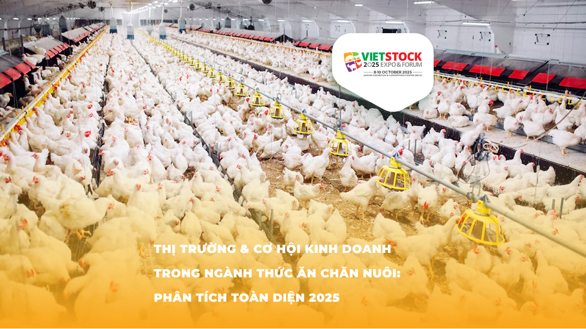 Thị Trường Cơ Hội Kinh Doanh Trong Ngành Thức Ăn Chăn Nuôi Phân Tích Toàn Diện 2025 - Xu hướng thị trường thức ăn chăn nuôi