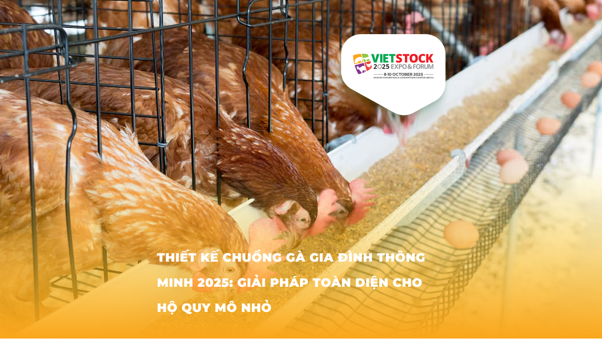 Thiết kế chuồng trại gà hiện đại và hiệu quả nhất 2025