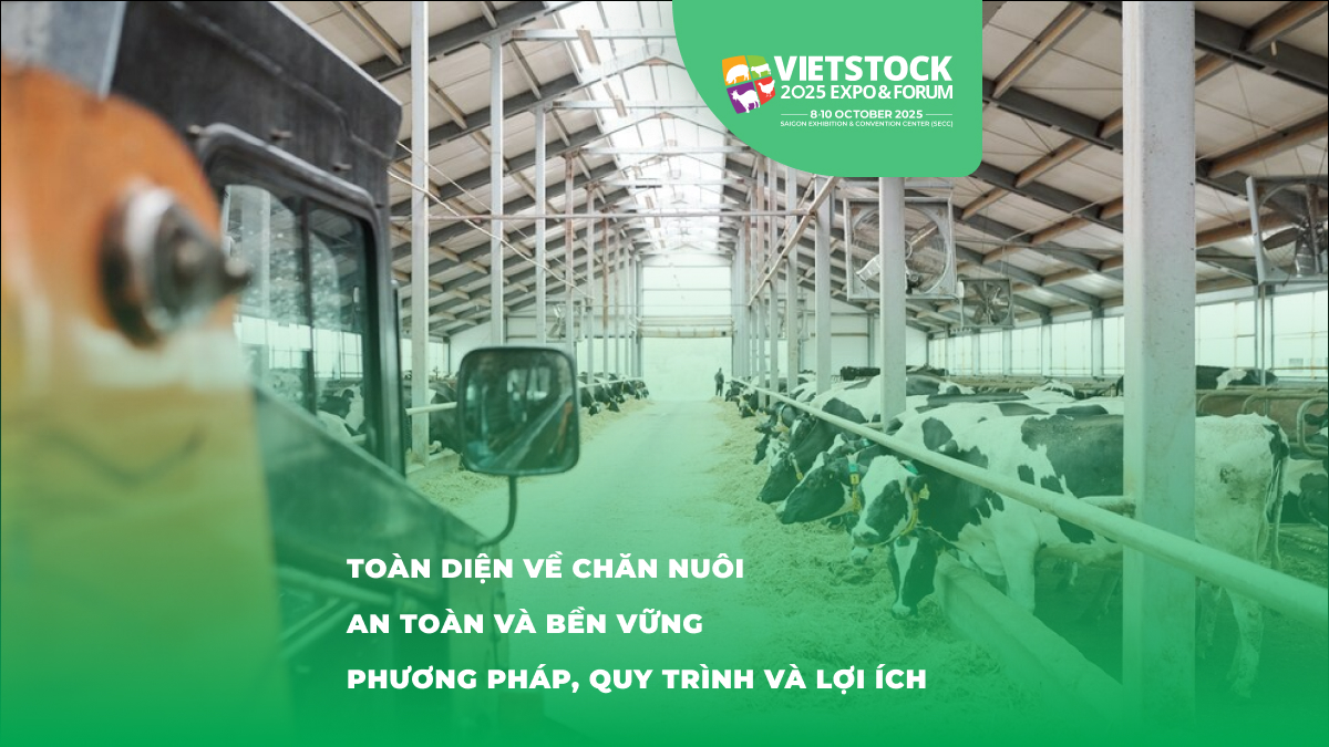 Toàn diện về chăn nuôi an toàn và bền vững Phương pháp, quy trình và lợi ích - Chăn nuôi bền vững