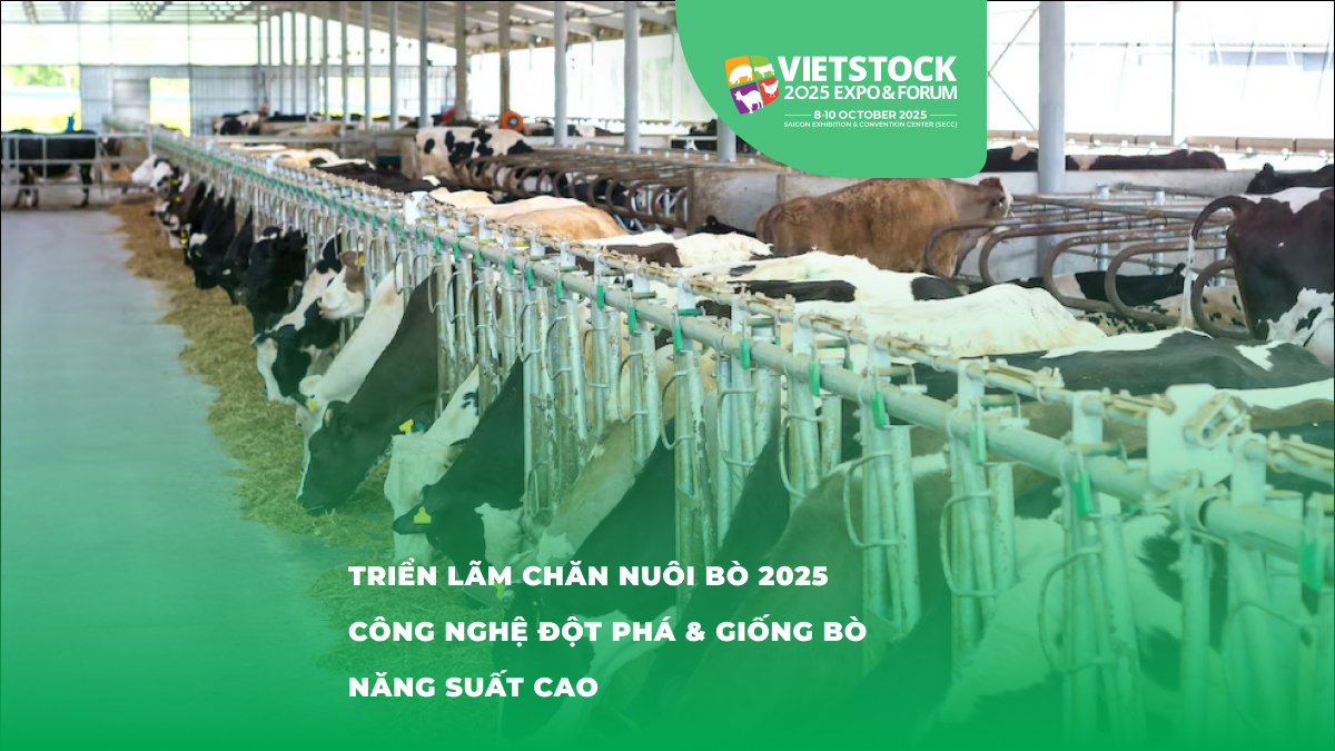 Khám Phá Triển Lãm Chăn Nuôi Bò 2025: Những Đổi Mới Về Công Nghệ và Giống Bò Năng Suất Cao