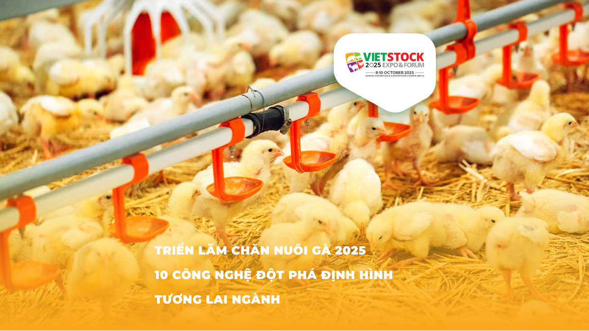 Triển Lãm Chăn Nuôi Gà: 10 Công Nghệ Đột Phá Năm 2025