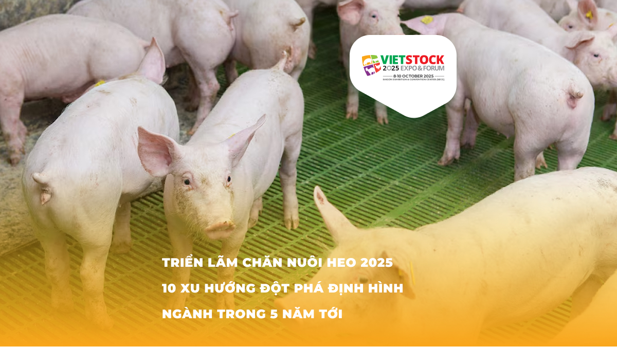 Triển lãm chăn nuôi heo – 10 Xu Hướng Nổi Bật Trong Ngành Chăn Nuôi Heo Năm 2025