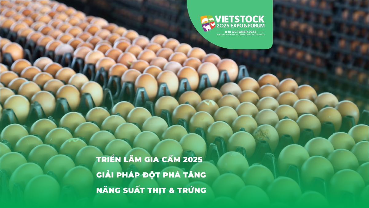 Khám Phá Triển Lãm Gia Cầm 2025: Những Giải Pháp Tăng Năng Suất Thịt và Trứng