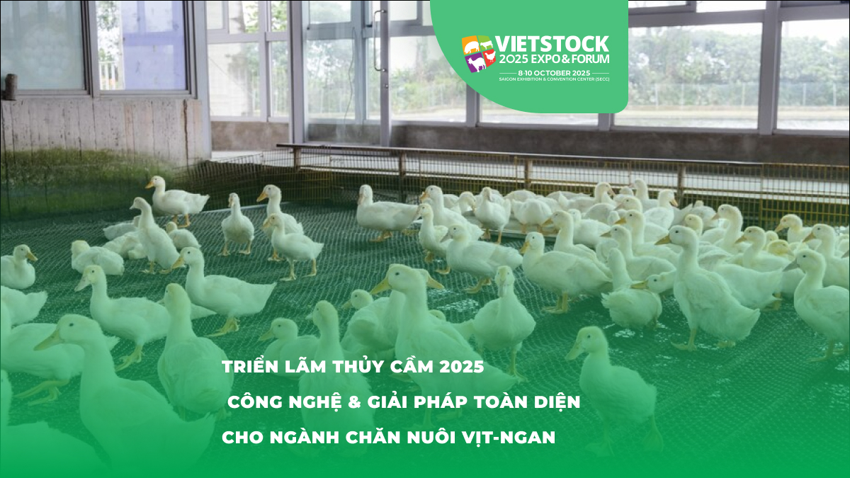 Khám Phá Triển Lãm Thủy Cầm 2025: Giải Pháp Tăng Năng Suất và Bảo Vệ Môi Trường