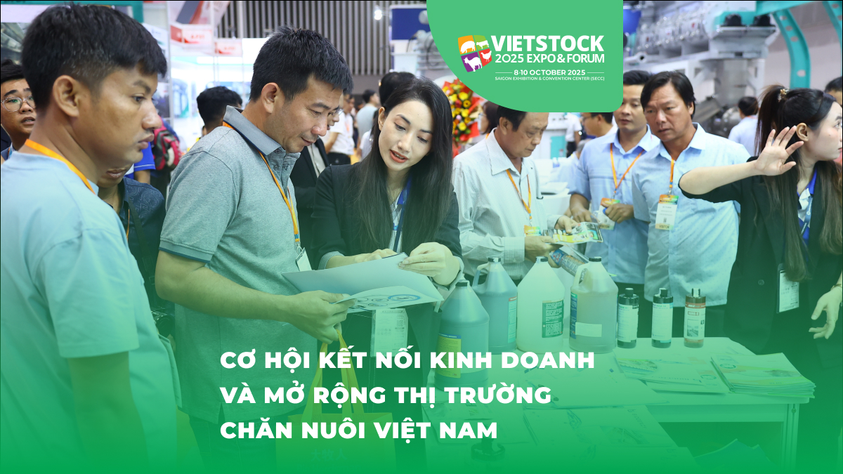 Vietstock 2025 Cơ Hội Kết Nối Kinh Doanh và Mở Rộng Thị Trường Chăn Nuôi Việt Nam - cơ hội hợp tác triển lãm tại Vietstock