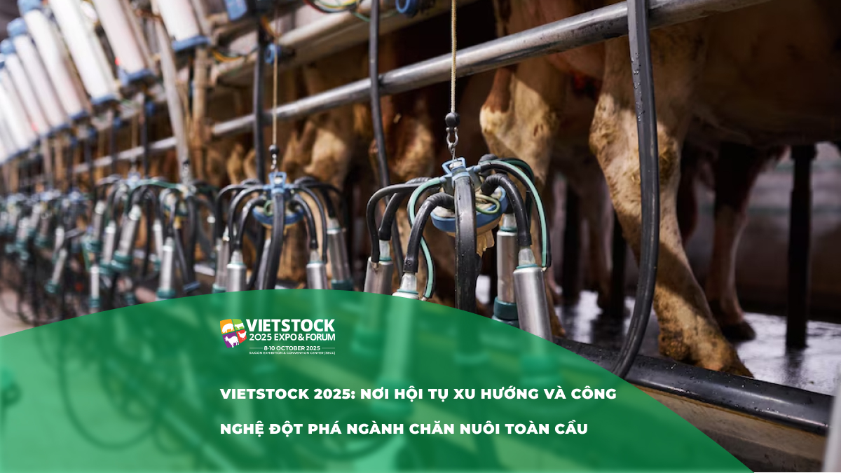 Vietstock 2025 Nơi Hội Tụ Xu Hướng Và Công Nghệ Đột Phá Ngành Chăn Nuôi Toàn Cầu - hội thảo vietstock