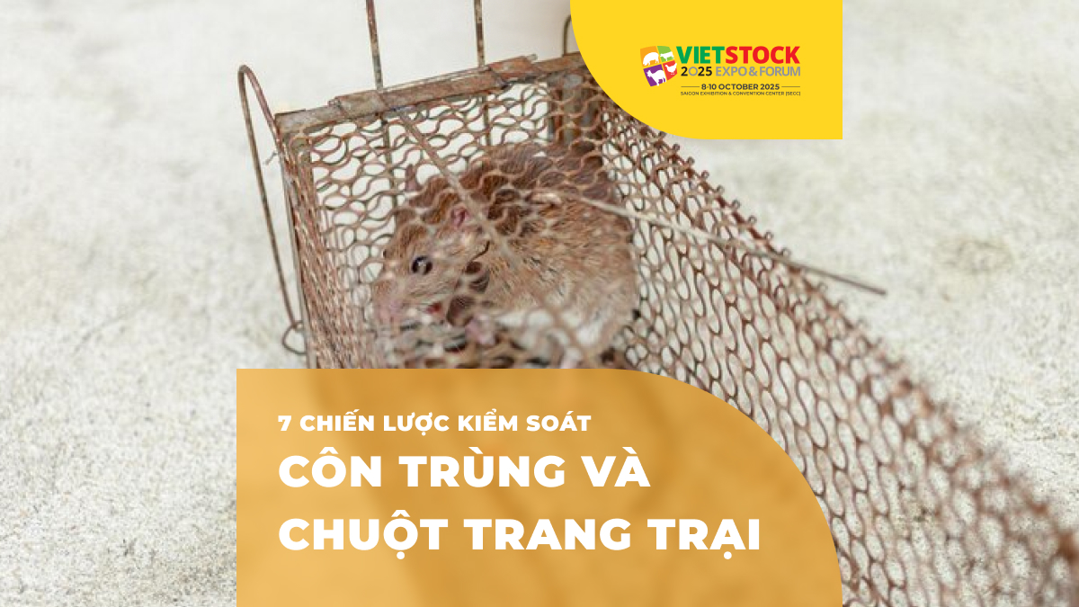 Chiến lược kiểm soát côn trùng và động vật gây hại trong trang trại chăn nuôi