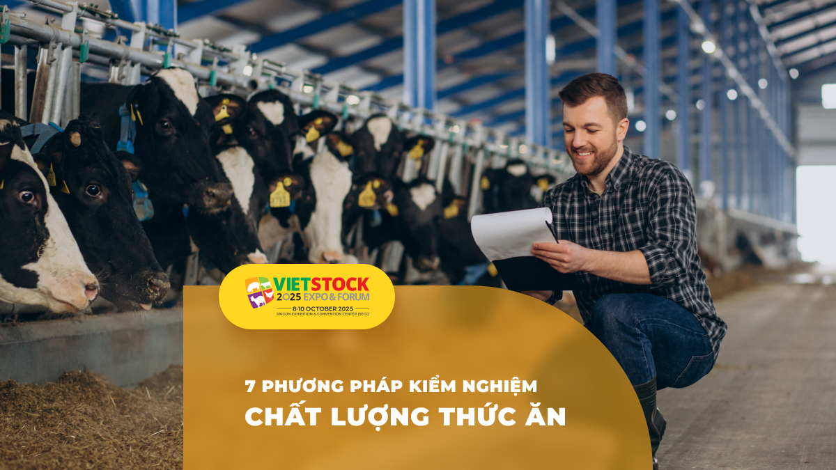 Phương pháp kiểm nghiệm chất lượng thức ăn chăn nuôi: Từ cơ bản đến nâng cao