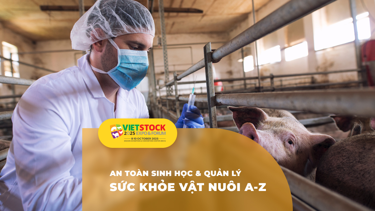 Quản lý sức khỏe vật nuôi toàn diện: Chiến lược phòng bệnh, an toàn sinh học và thay thế kháng sinh