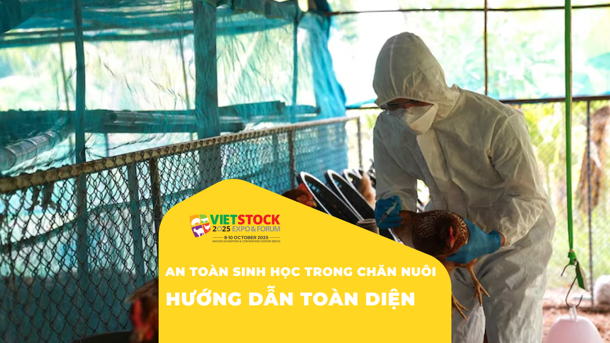 Xây dựng hệ thống an toàn sinh học trong trang trại chăn nuôi: Từ thiết kế đến vận hành