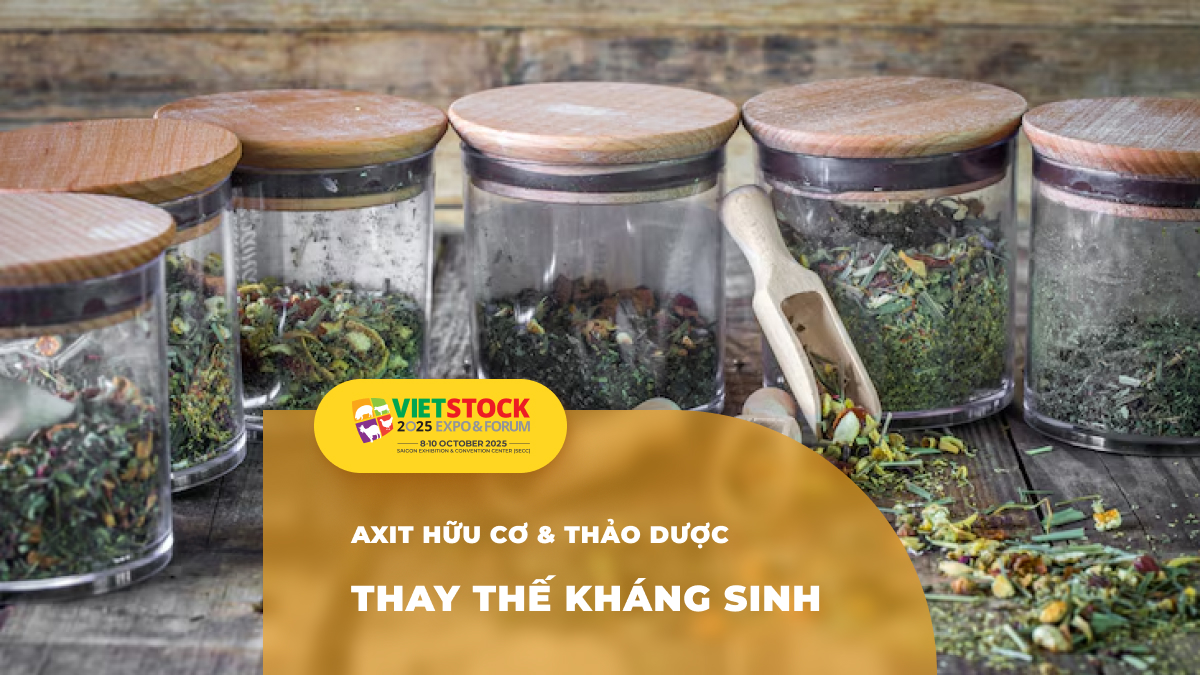 Ứng dụng axit hữu cơ và thảo dược trong phòng trị bệnh cho vật nuôi