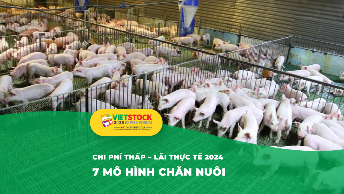 Mô hình chăn nuôi hiệu quả kinh tế cao nhất hiện nay