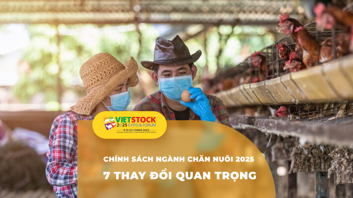 Cập nhật chính sách mới nhất về ngành chăn nuôi Việt Nam năm 2025