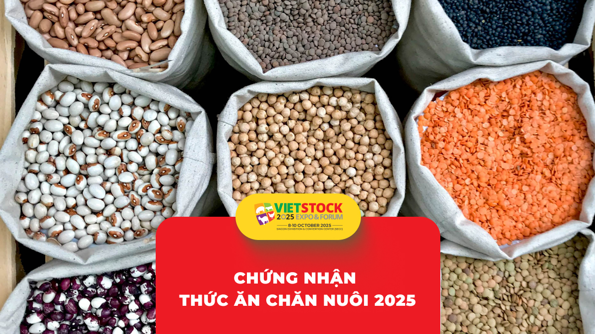Các chứng nhận quốc tế trong sản xuất thức ăn chăn nuôi: Lợi ích và quy trình đạt được