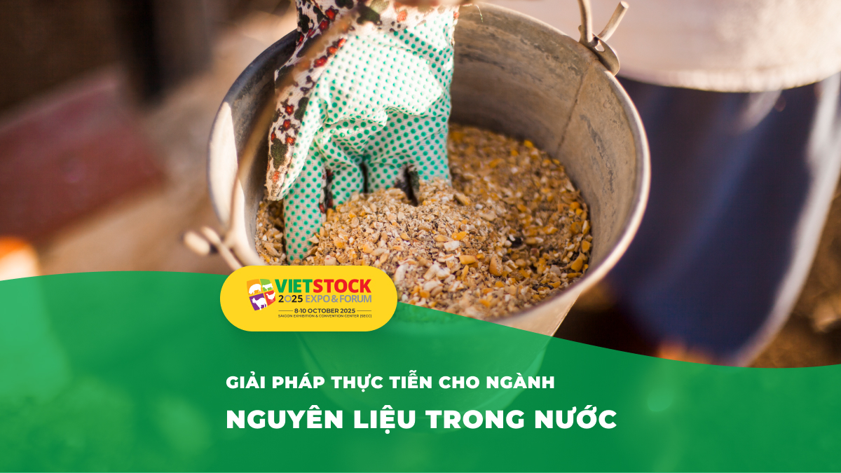 Nguồn nguyên liệu thức ăn chăn nuôi tại Việt Nam: Thực trạng và giải pháp đảm bảo nguồn cung