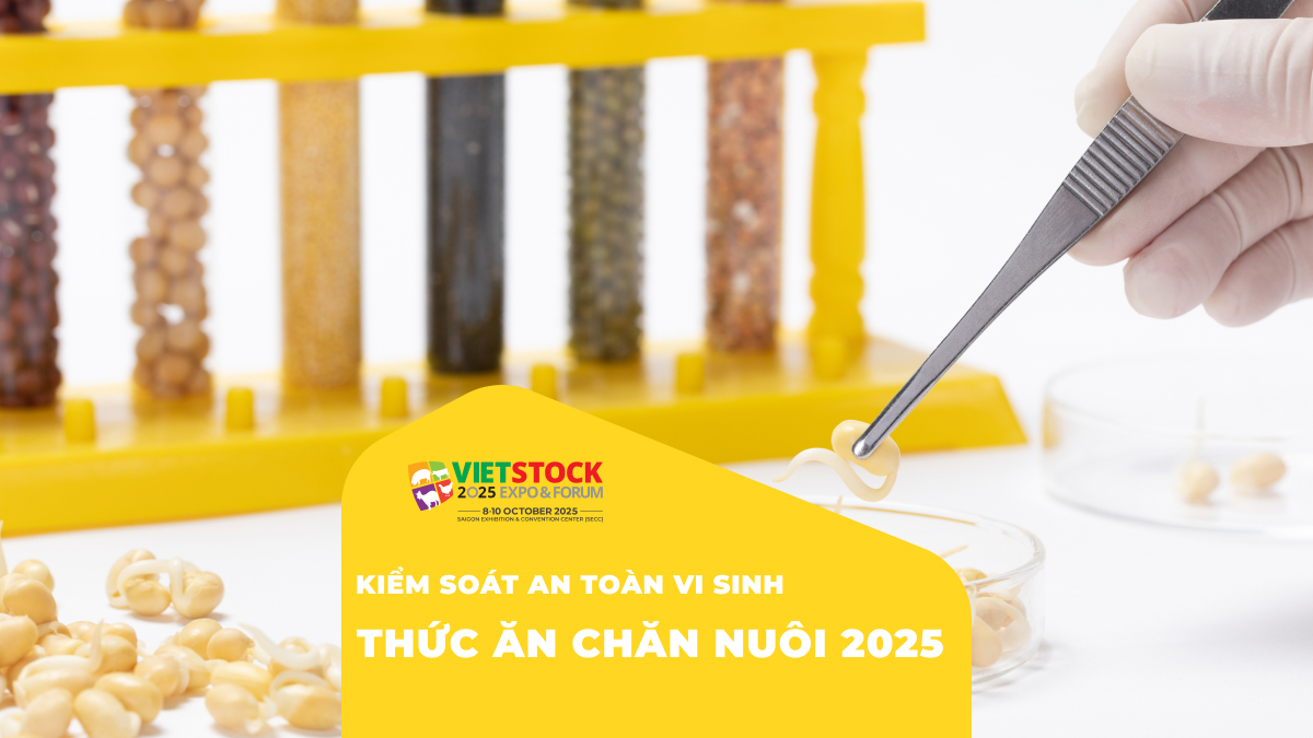 Kiểm soát an toàn vi sinh trong sản xuất và bảo quản thức ăn chăn nuôi
