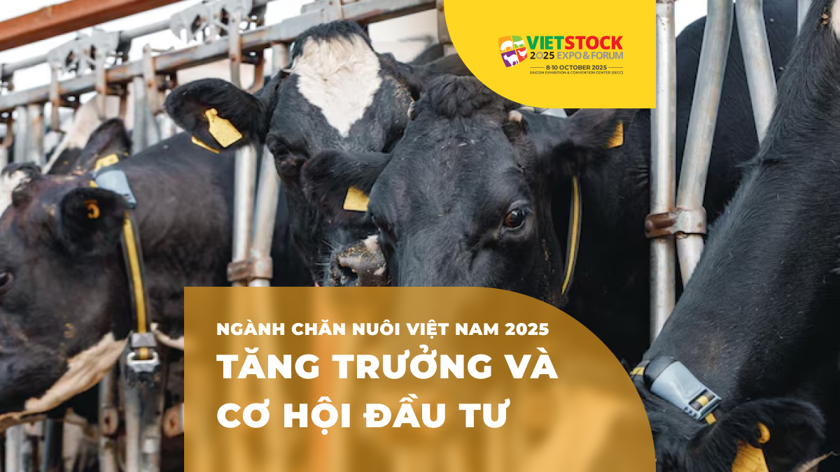 Tổng quan ngành chăn nuôi Việt Nam 2025: Xu hướng, thách thức và cơ hội phát triển