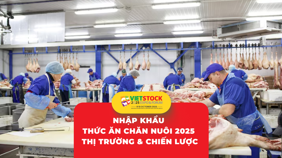 Phân tích tình hình nhập khẩu thức ăn chăn nuôi và nguyên liệu tại Việt Nam 2025