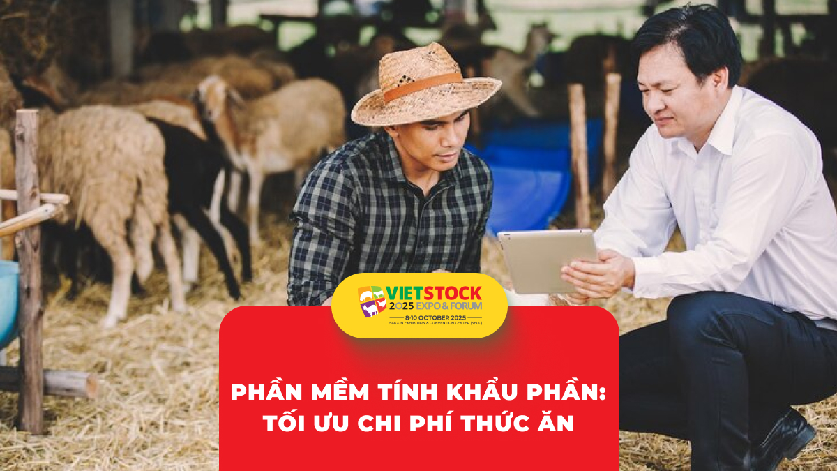 Ứng dụng phần mềm trong tính toán khẩu phần ăn: Tối ưu dinh dưỡng và chi phí