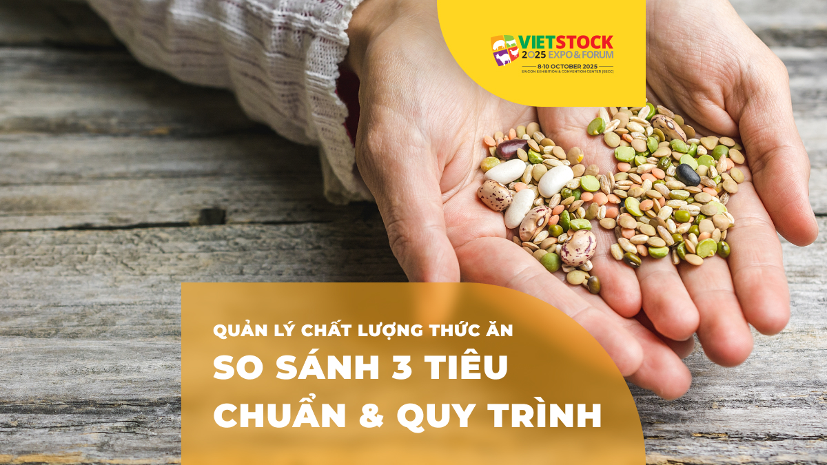 Hệ thống quản lý chất lượng trong sản xuất thức ăn chăn nuôi: Tiêu chuẩn và quy trình