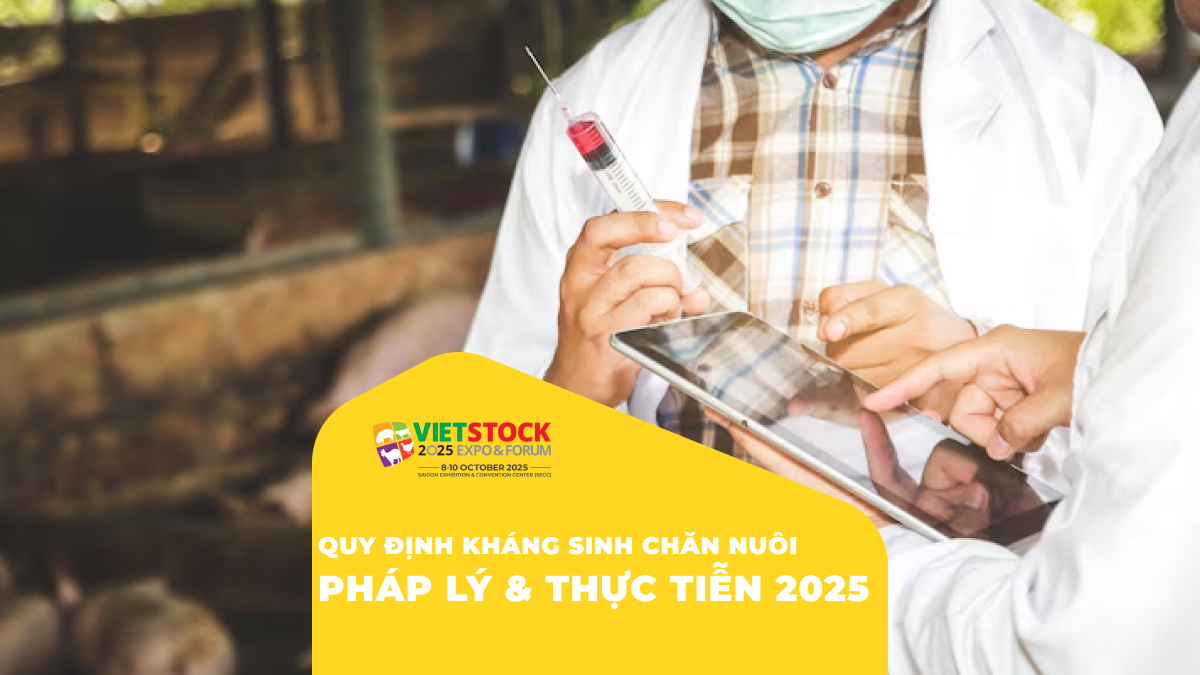 Quy định về sử dụng kháng sinh trong chăn nuôi tại Việt Nam và thế giới
