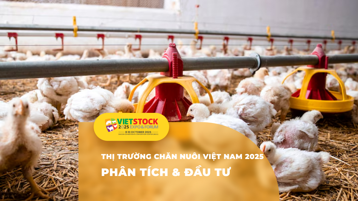 Phân tích thị trường chăn nuôi Việt Nam 2025: Số liệu và dự báo mới nhất