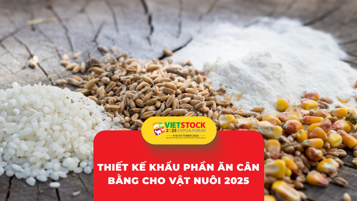 Thiết kế khẩu phần ăn cân bằng cho vật nuôi: Nguyên tắc và phương pháp